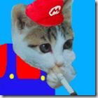 Um pequeno sonhador. siga o blog