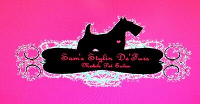 The new exciting way 2 own pets.  Cats,  dogs,  rabbits, even guniea pigs.  From a summer shave to detailed coloring & scissor work.  Call & get your apt 2day!