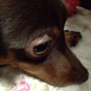 志穂 (@0121_sh) Twitter