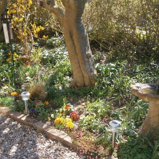likes hedgehogs -birds-gardening-reading-rock music.