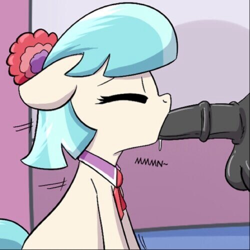 (R34 RP)