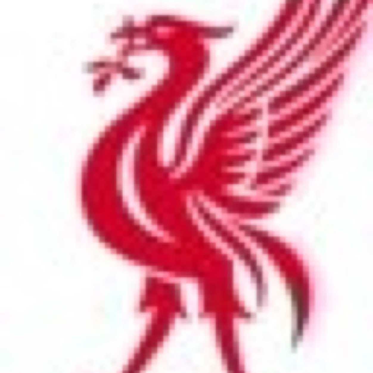 SCasoojee's profile picture. 