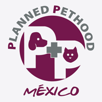 Somos Planned Phethood México | Hospital Veterinario fundado por Dr. Jeff Rocky Mountain Vet de Animal Plan | Citas 9442310 | Mérida, Yucatán. México