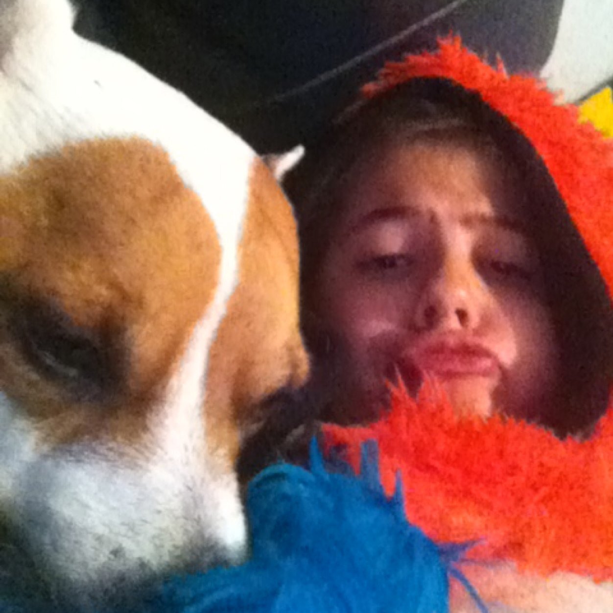 BPeiece's profile picture. Please follow me and i will follow you back. I may not look like im cool or amazing but wen you see me or get to know me you will think Im AMAZING. PUGS RULE ✌