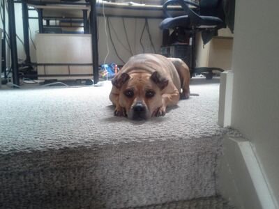 KevinR70's profile picture. Just some clown who spends too much time online.  At least I live in my own basement, not my mom's.