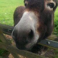 IAJones (@amitk86) 's Twitter Profile