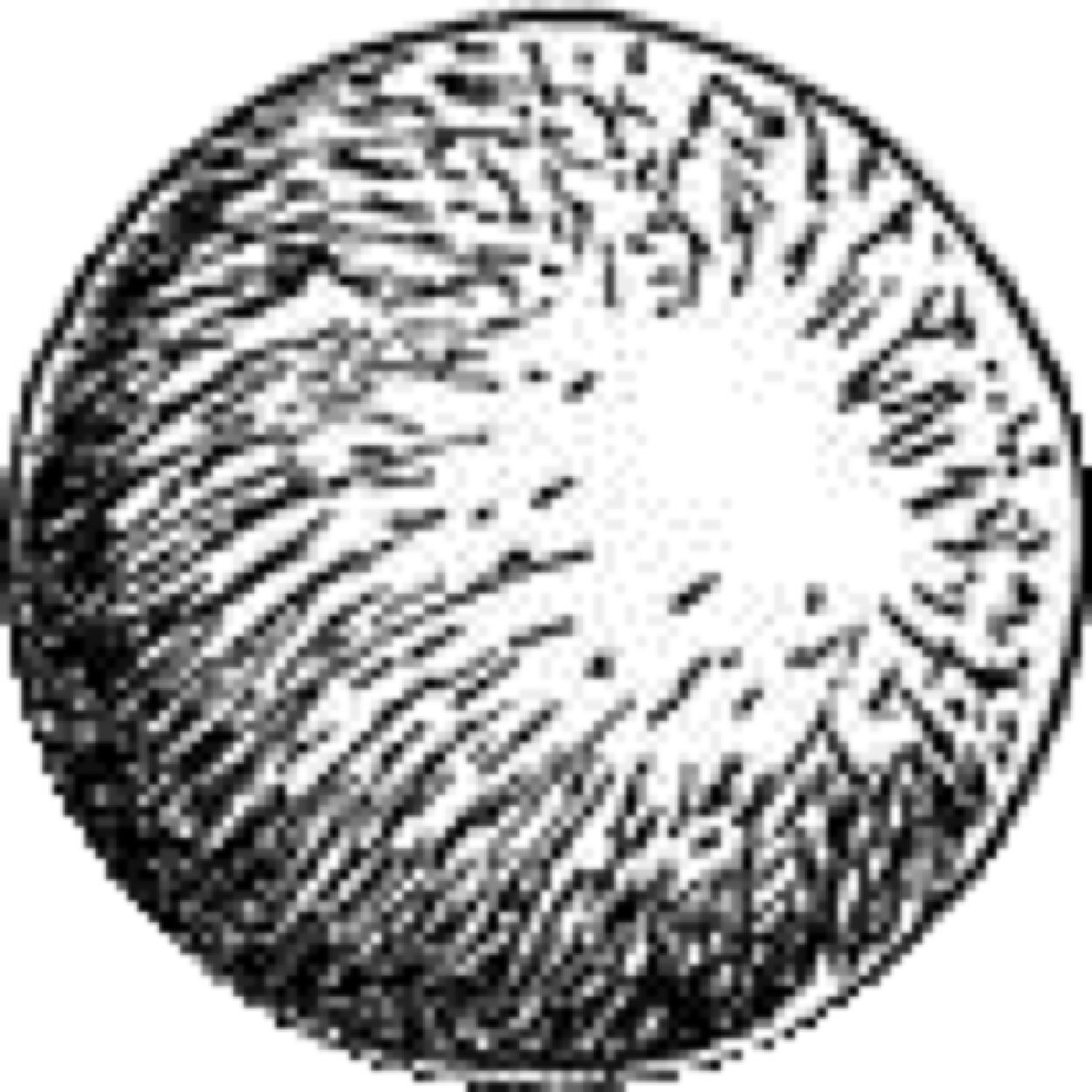 兵器ブリオンbot (@BotBurion) / Posts / X