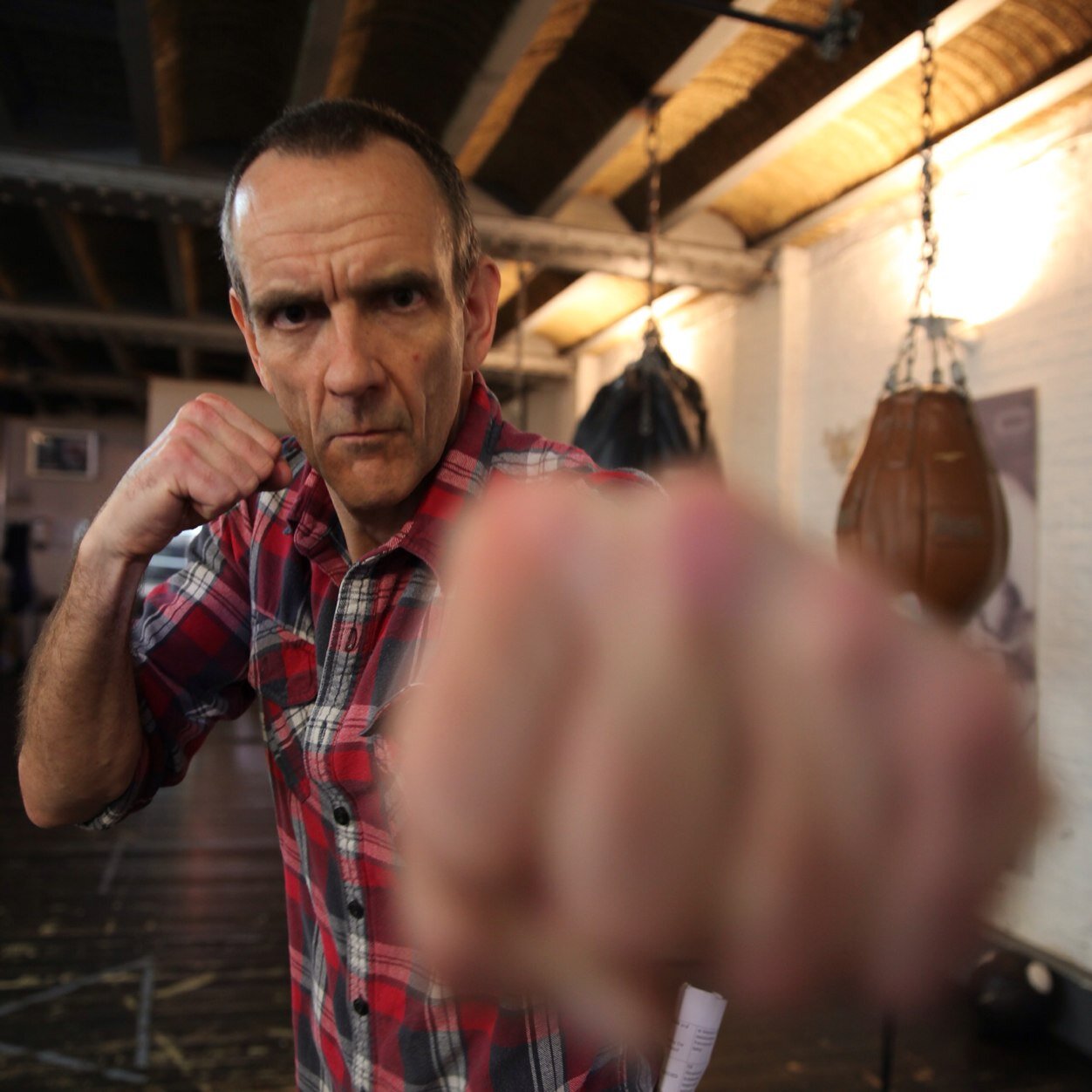 davidstewart210's profile picture. 