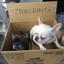 佐野 正幸 (@000masayuki) Twitter