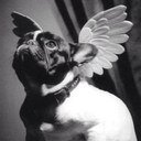 Corsi77Lola's profile picture. 18/03/74. 07/07/07 ❤️Bastelicaccia❤️Pastricciola❤️LaPorta❤️Ajaccio❤️