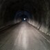 Nobody (@holzfux753) Twitter profile photo
