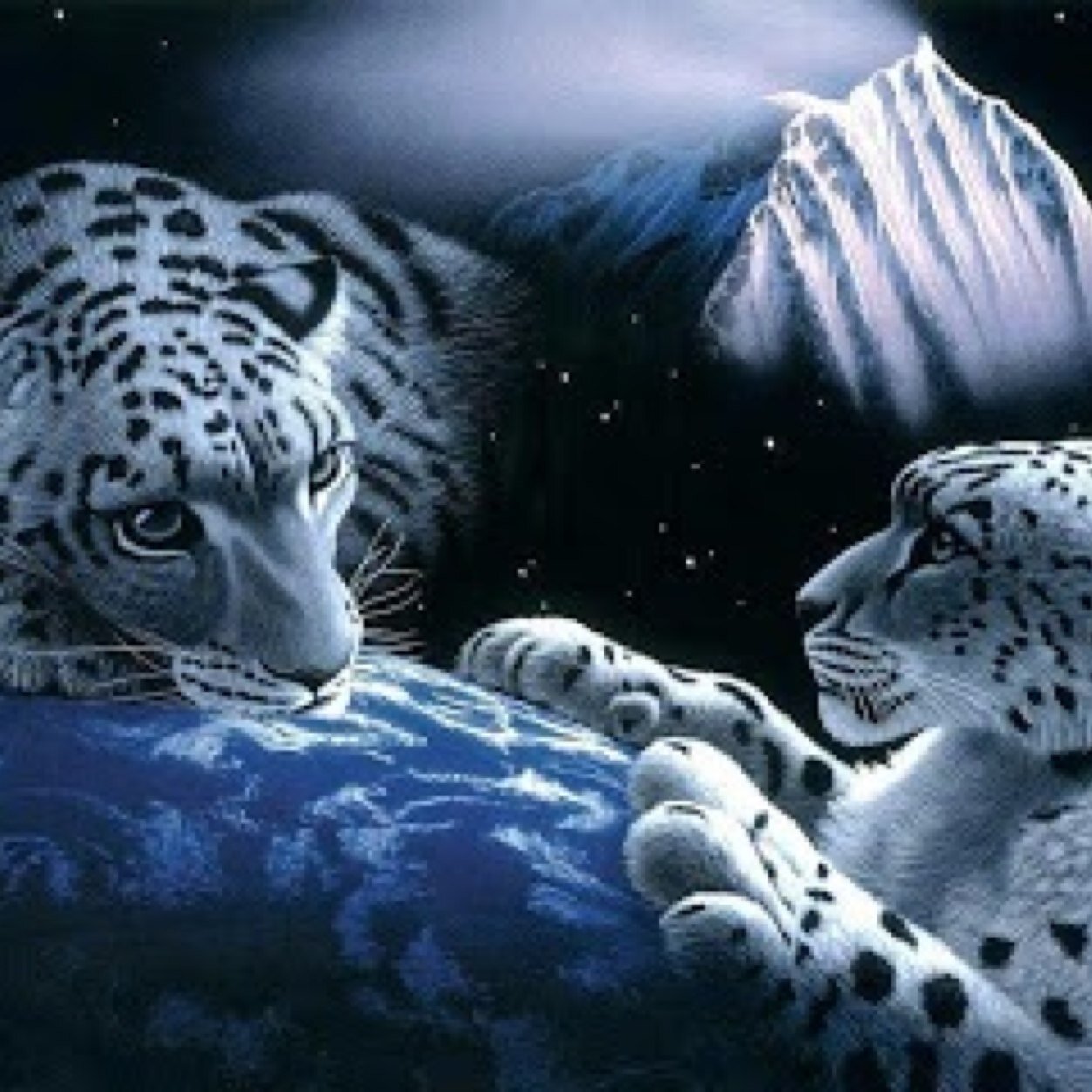 Adme123Adme's profile picture. 