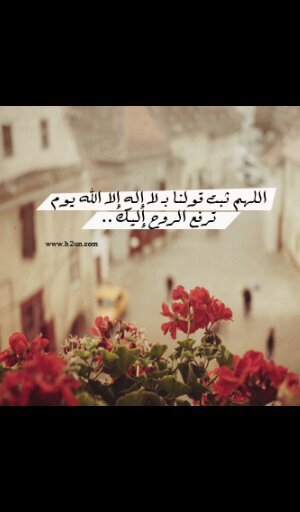 ‏‏‏♥♡أستغفر الله العظيم سبحان الله وبحمده ♡♥الخاص  مممنوووع بلووك ●