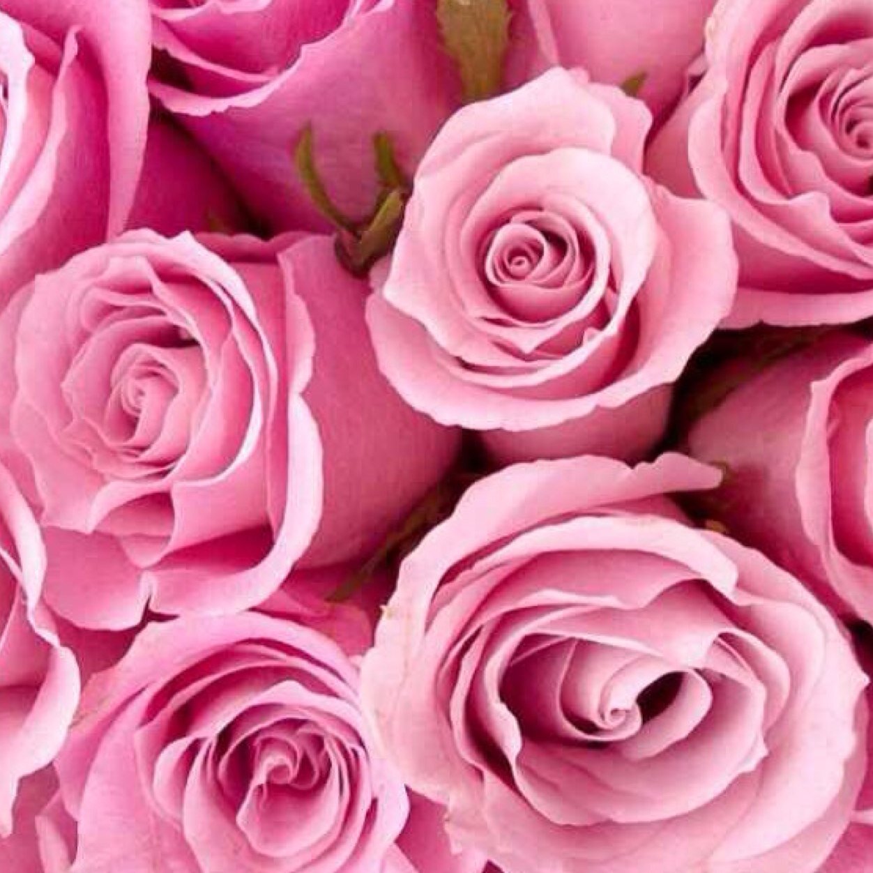 اذا الكلام من فضه فالسكوت من ذهب ....حكمة اليوم .. ✨