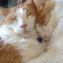 ElaineStarratt's profile picture. Love good wine, food, and reading