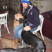 Andrew Faulkner (@ahfaulkner) 's Twitter Profile