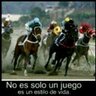 Hipismo_caracas's profile picture. Profesional estadístico
