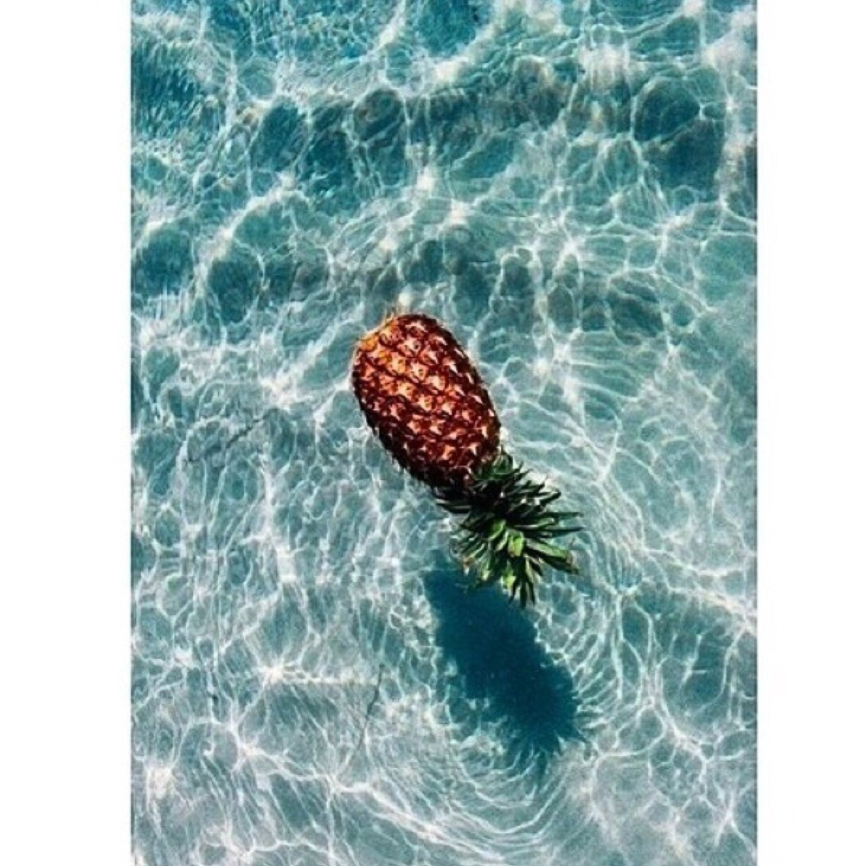 arrrroha's profile picture. Okay? Okay. Is your name wifi, cause im feeling the connection