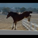 Sienna  Rice - @Siennarocks91 - Twitter