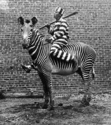 AsseyezVous's profile picture. La vie n'a pas de sens, alors je vais de l'autre côté