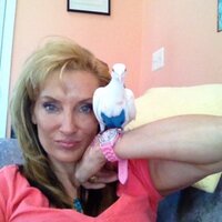 ♡marylynn (@peacepony99) 's Twitter Profile Photo ♡marylynn (@peacepony99) 's Twitter Profile Photo