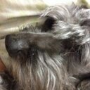 Jazmin_80s's profile picture. 