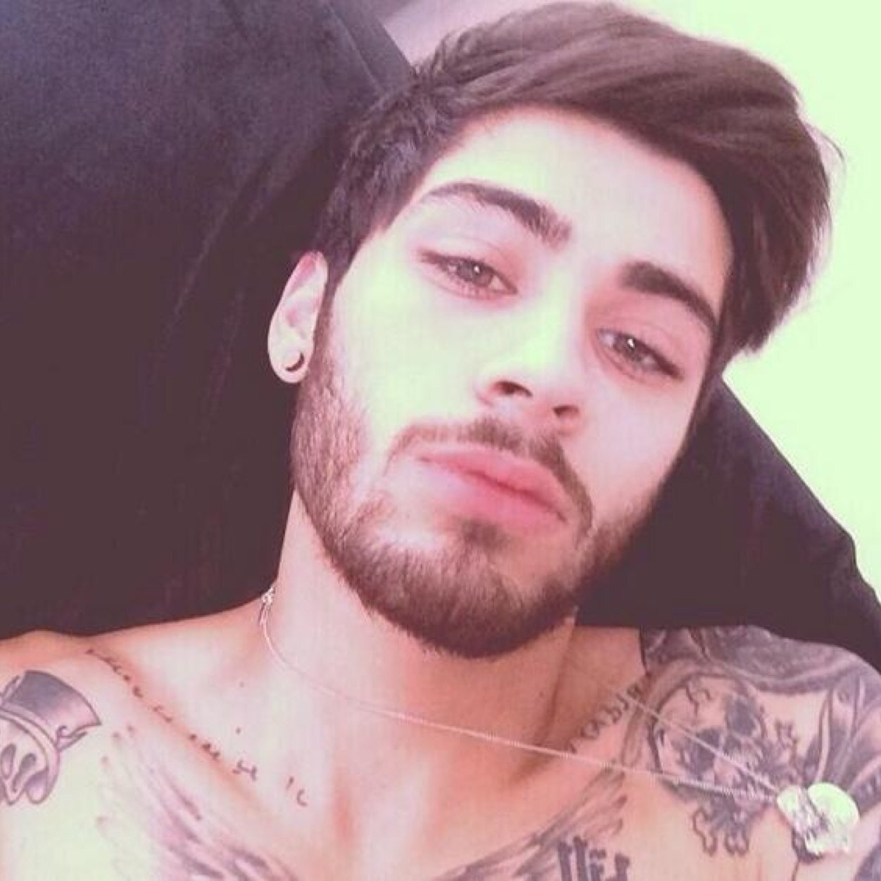 _wildziam's profile picture. FREE FOLLOW BC ILY | BUT GO FOLLOW @hornycliffxrd