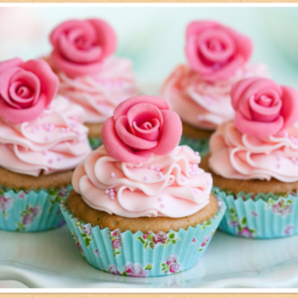 CakesDaisy's profile picture. 