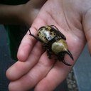 LOutler's profile picture. 