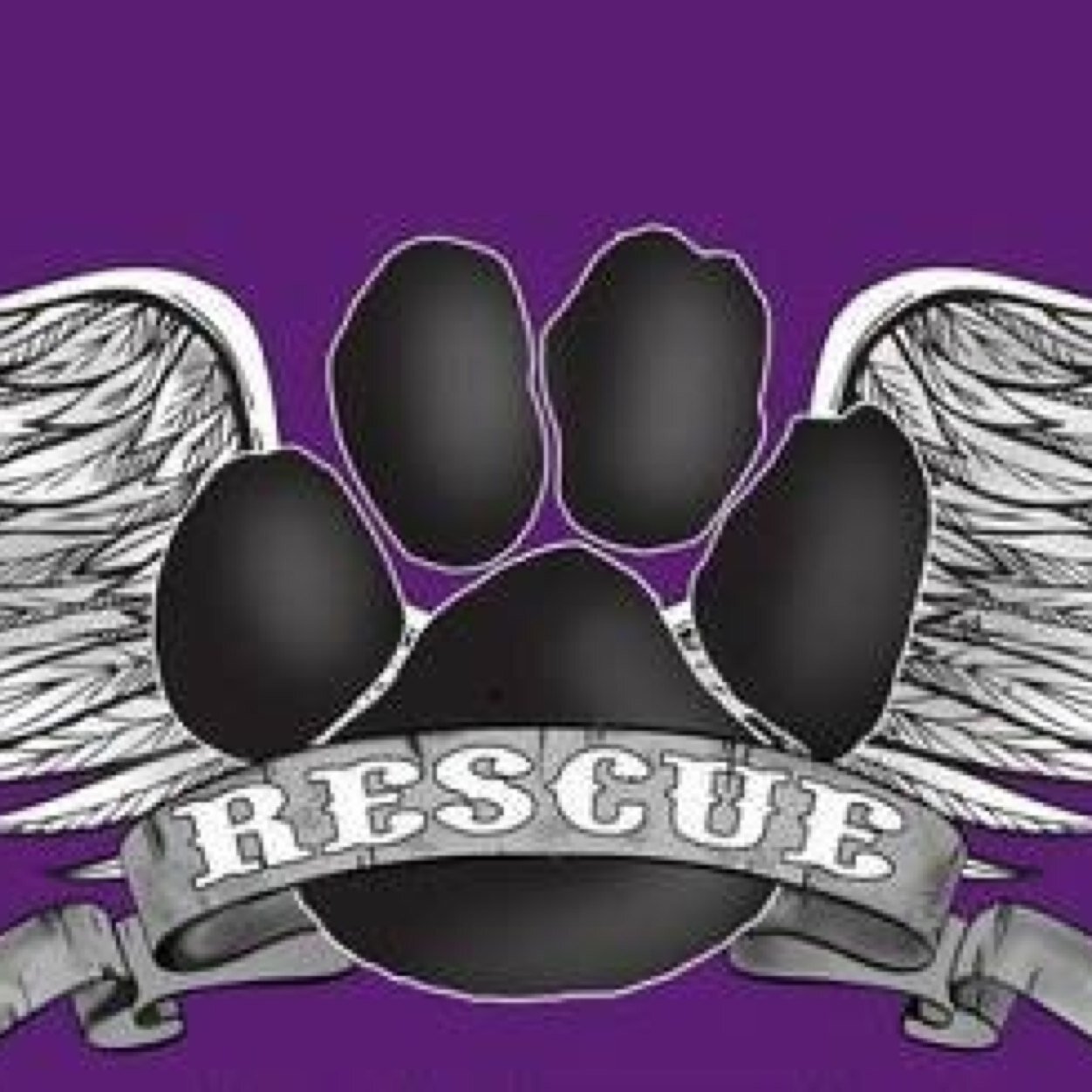 We are a 501(c)3 non profit organization that saves animals from local high kill shelters. We often take the hardest cases first; sick/injured/seniors.
