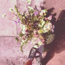 hattie fox - @thatflowershop - Twitter