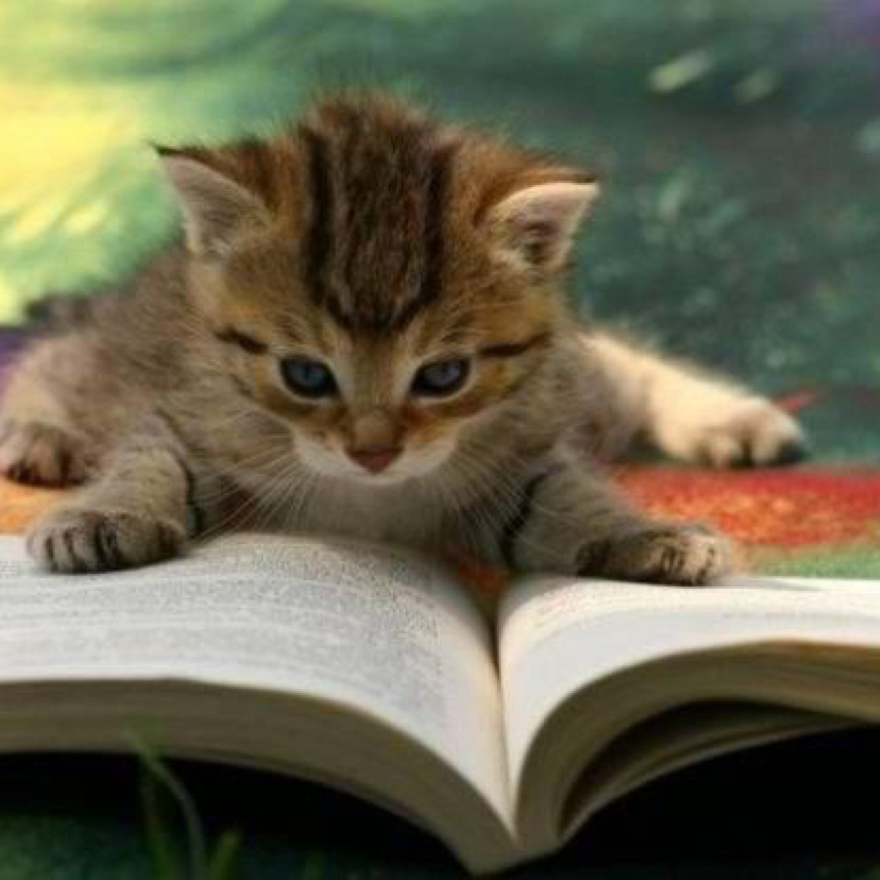 God first, everything else comes after. Avid reader of Christian fiction, romance, mystery, suspense, and action/adventure.