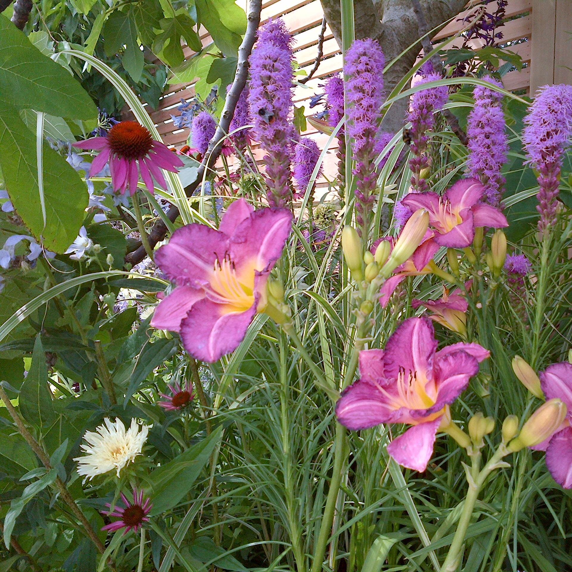 Garden Designer inspired by nature, children and plants based in Staffordshire.  Follow me @wildacademy for landscape issues!