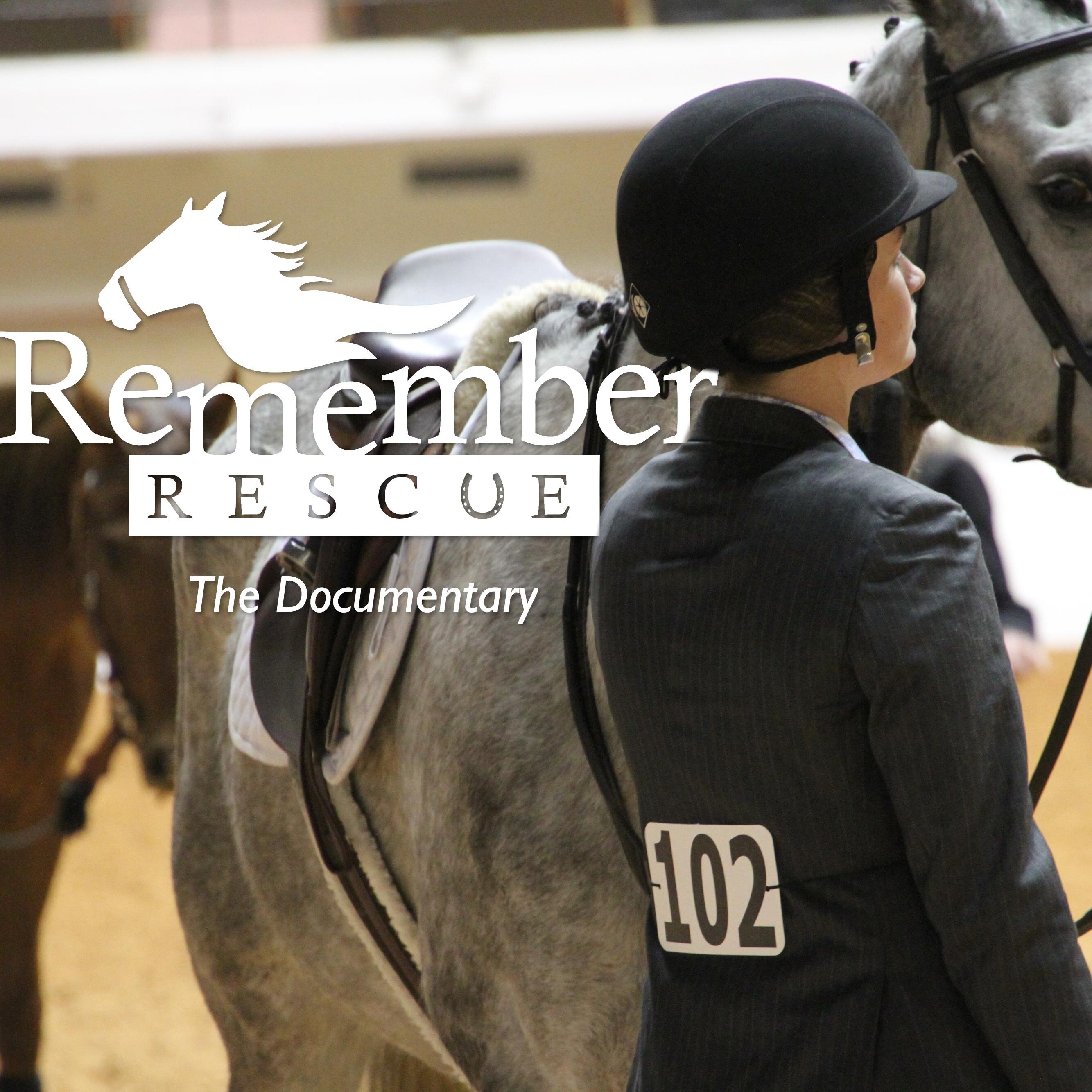 A documentary highlighting the struggles of the life of a retired racing horse and how you can help.