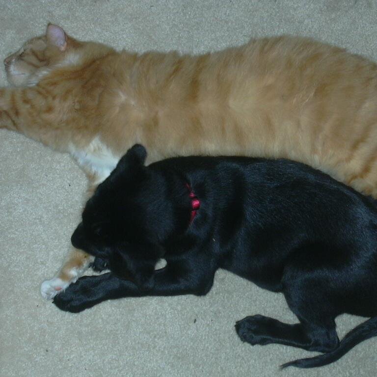 mom24girls1boy's profile picture. Mom of 5, wife of 1, student of lots of people and things.