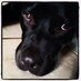 StillStanding (@brathnj) Twitter profile photo StillStanding (@brathnj) Twitter profile photo