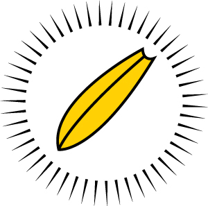 sabaudiasurf's profile picture. school and spot surf in Sabaudia!!!