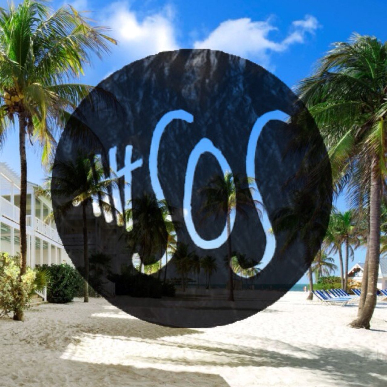 Planning a 5SOS Fam meetup for fans in Florida around the Sarasota/Bradenton/Tampa area. If you don't live in any of those cities, you're still welcome to come!