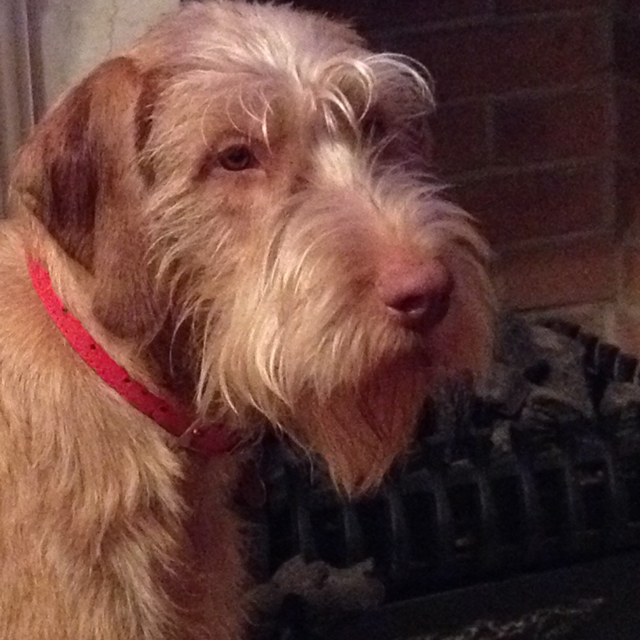 farmersnfl's profile picture. 