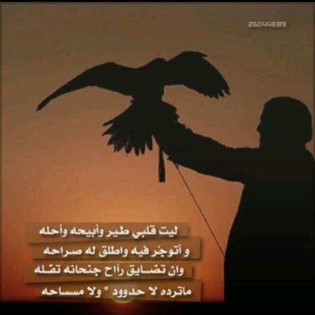 شيخ قبيله العمور من الشلوى. حفطه الله