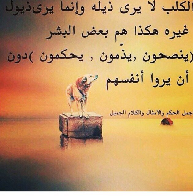 خطابه خبره ٨سنوات البنات الي شفتهم هم خارج تويتر
جميع الطلبات بالمفضله الي يناسبه شي يقولي خاص