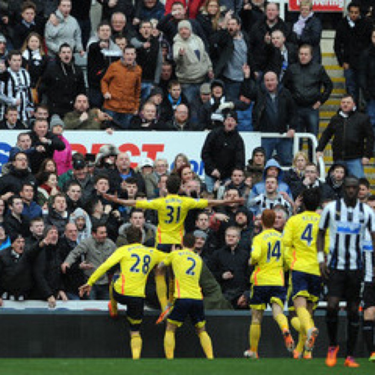 BarryDavis6's profile picture. Long suffering electrician husband and sunderland fan