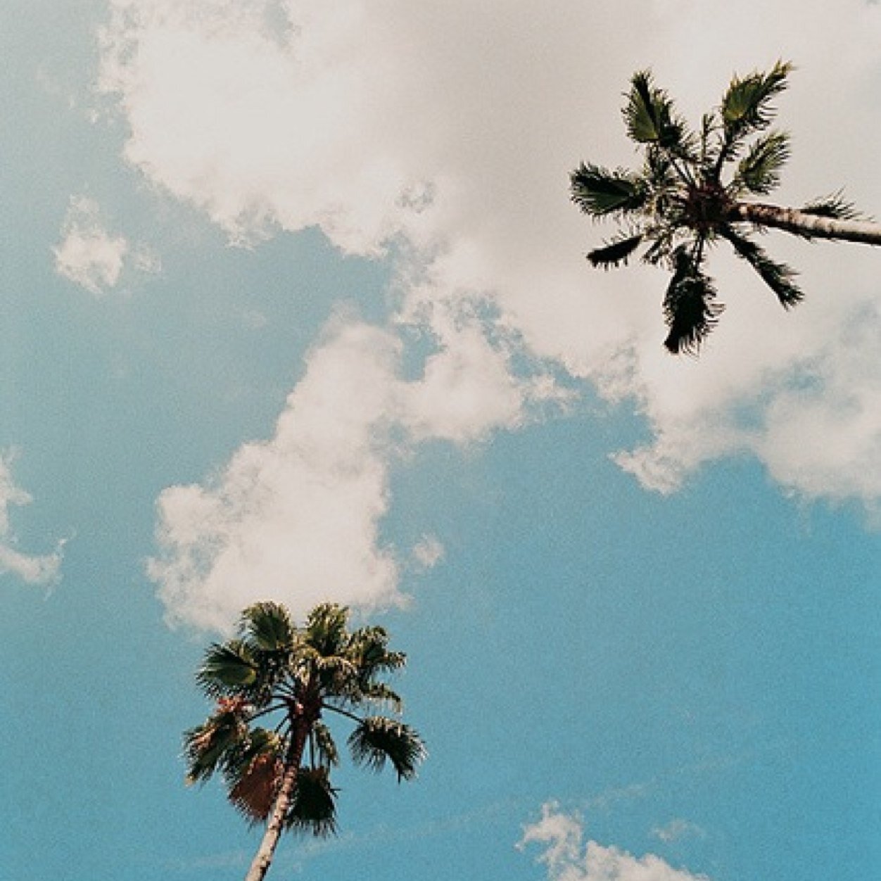 _Infrequent's profile picture. Stopped