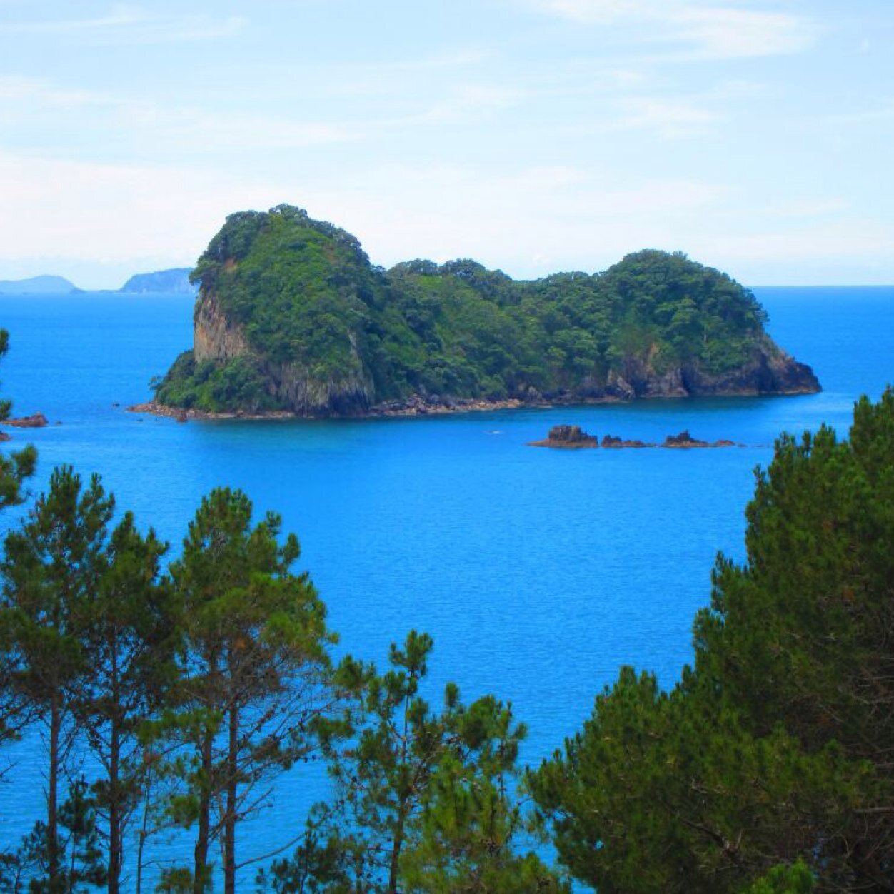 amer263744's profile picture. 