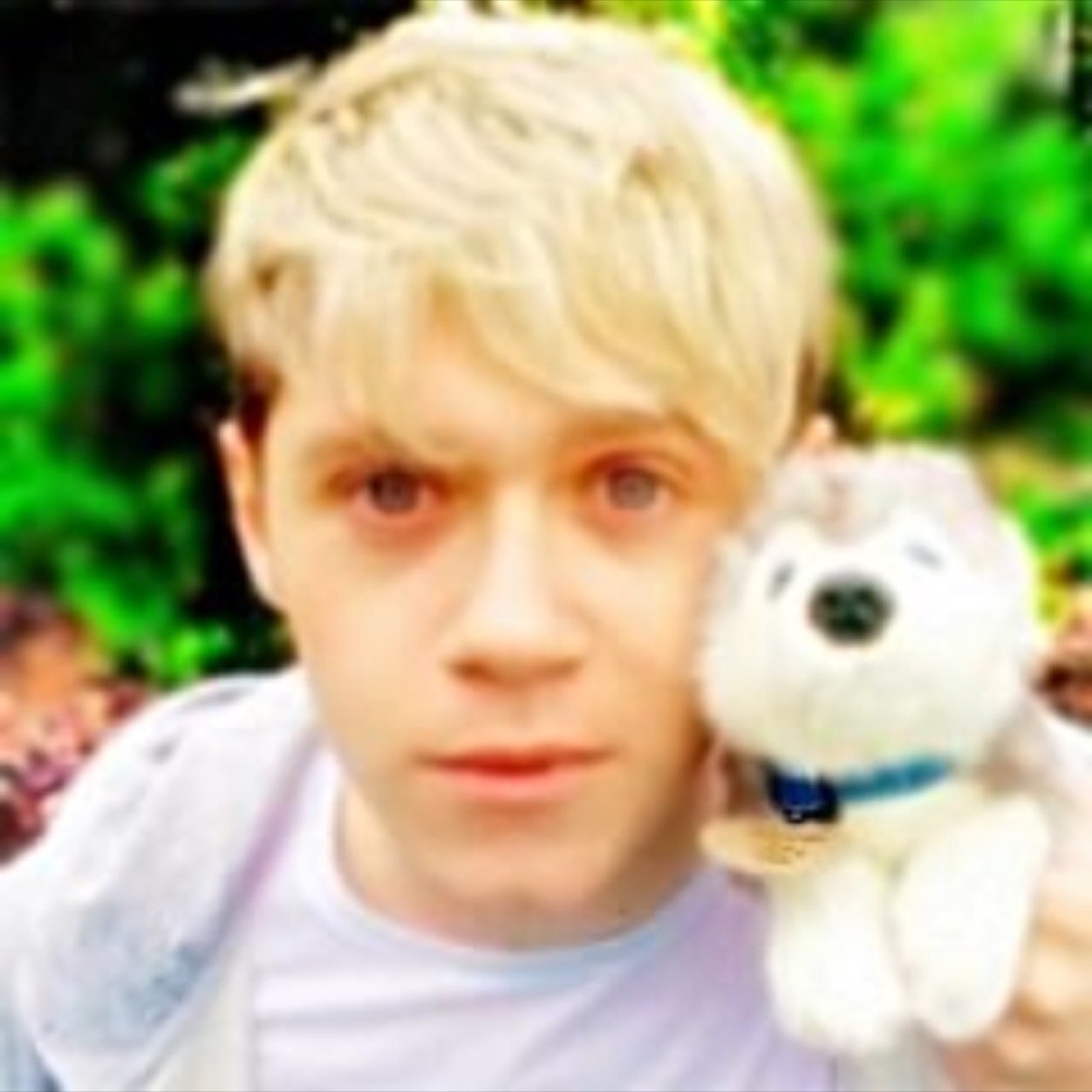 free follow - follow @txcobellniall ❤️