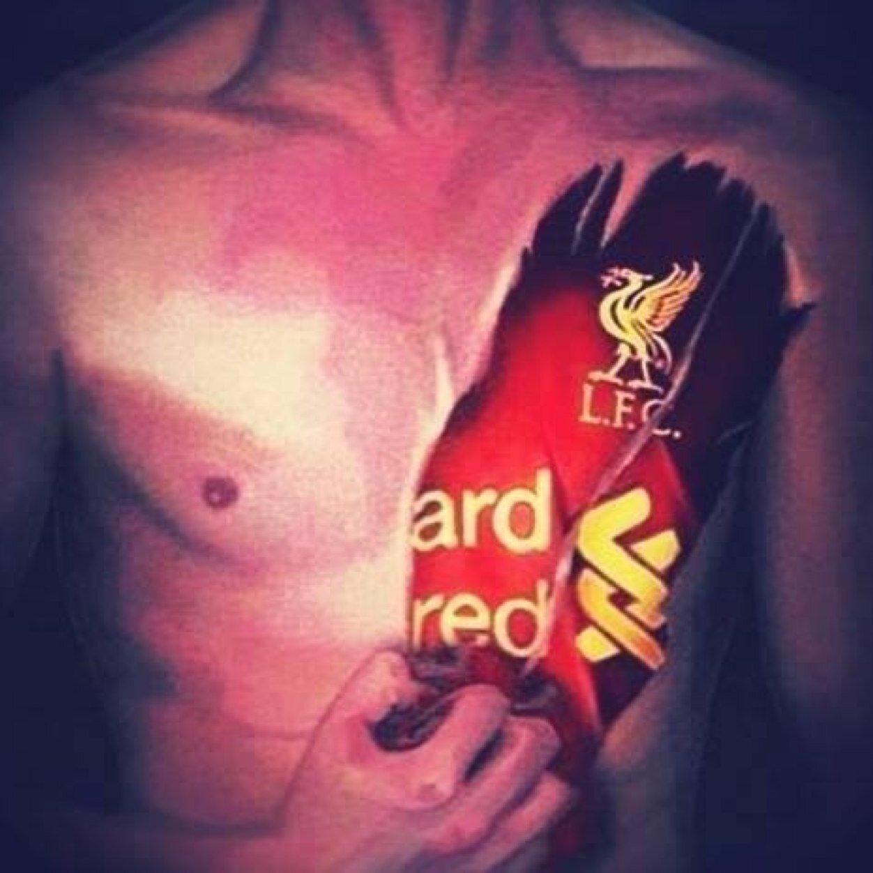 duncan0727lfc's profile picture. live with girlfriend ,got two daughters, love footie,support liverpool and a season ticket holder