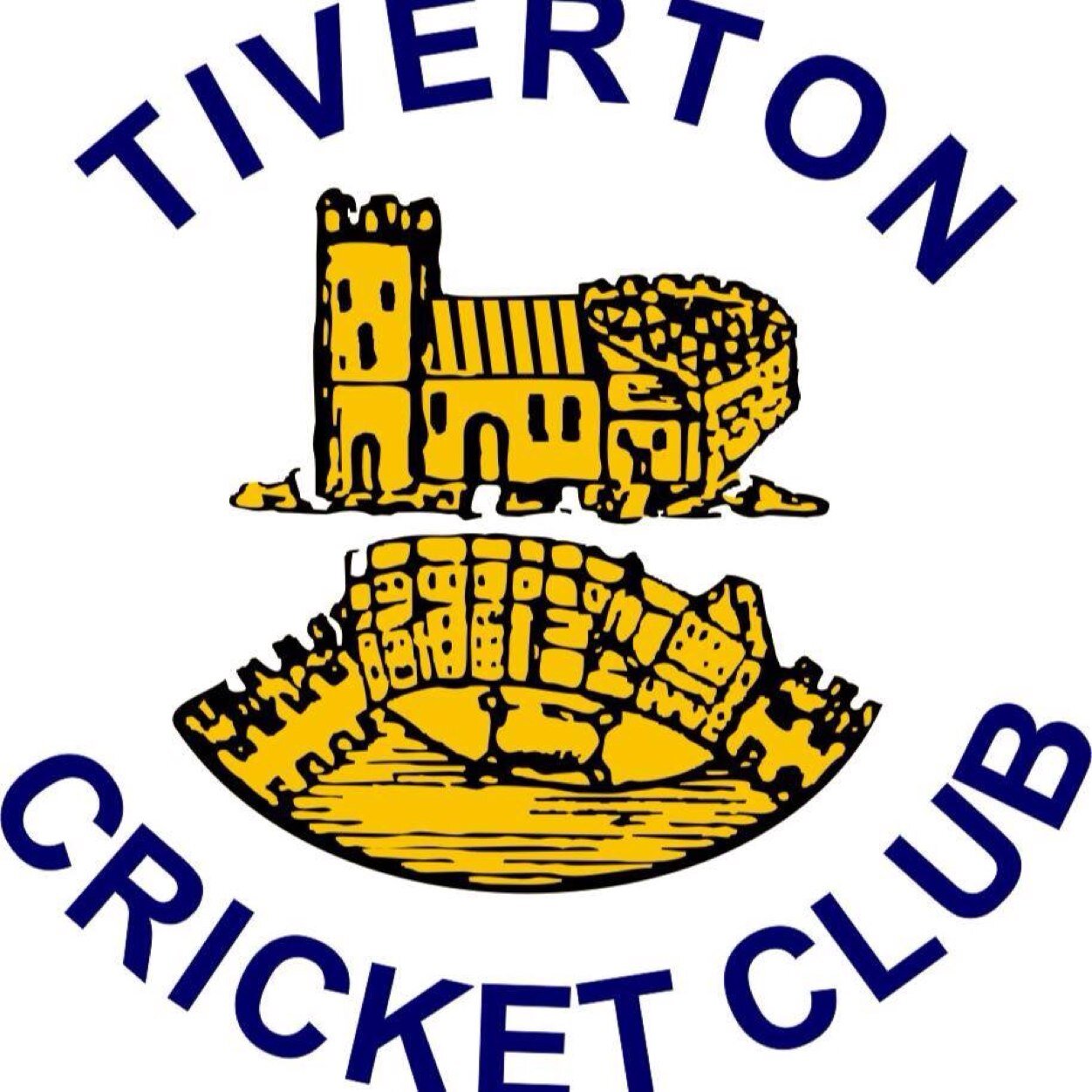 tivertoncc's profile picture. 