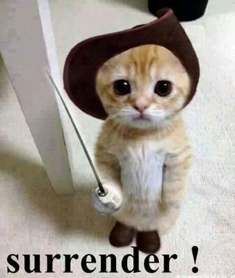 WigmoreRich's profile picture. 