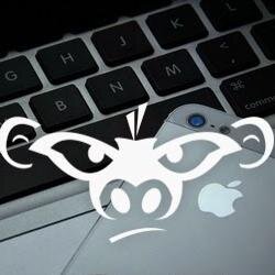 IT Manager(UNIX,OS X,Linux,Windows), WebDeveloper, Graphic Designer.