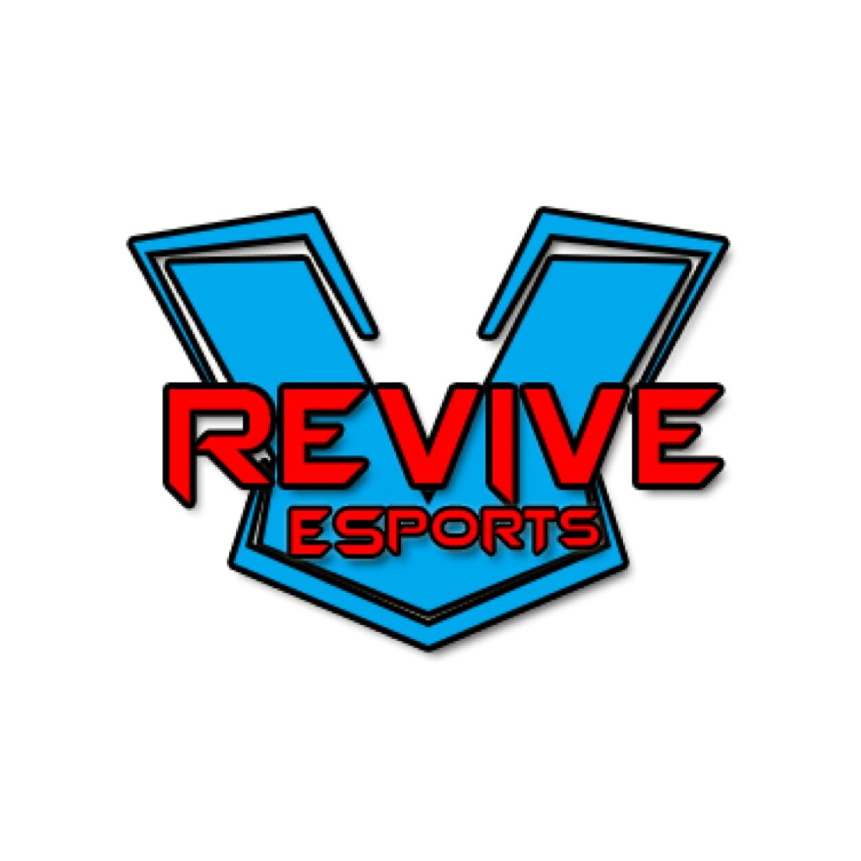 New Competitive Gaming organisation, we are aspiring to go big and are still looking for teams to play under our name.